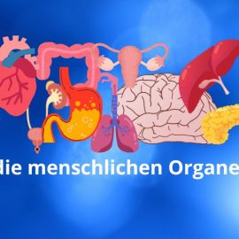 Gesundheit! Wizyta u lekarza po niemiecku, część 2.