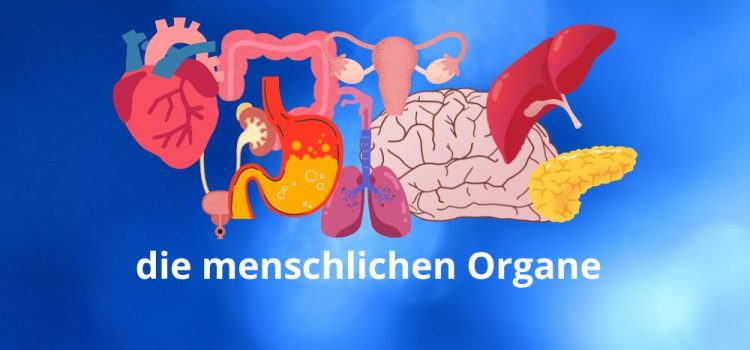 Gesundheit! Wizyta u lekarza po niemiecku, część 2. Gesundheit! Wizyta u lekarza po niemiecku, część 2.